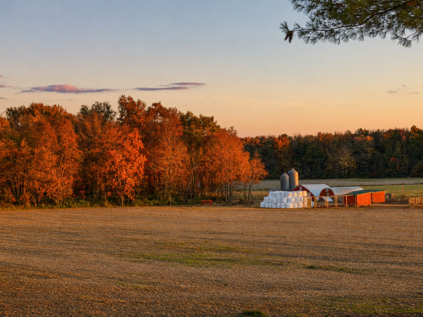 Red barn at sunrise in a wheat field